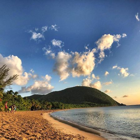 Le Surf Lodge, Chambre Avec Vue Mer Dans Un Ecrin De Verdure Deshaies Bagian luar foto