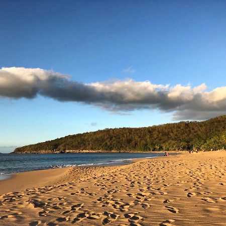Le Surf Lodge, Chambre Avec Vue Mer Dans Un Ecrin De Verdure Deshaies Bagian luar foto