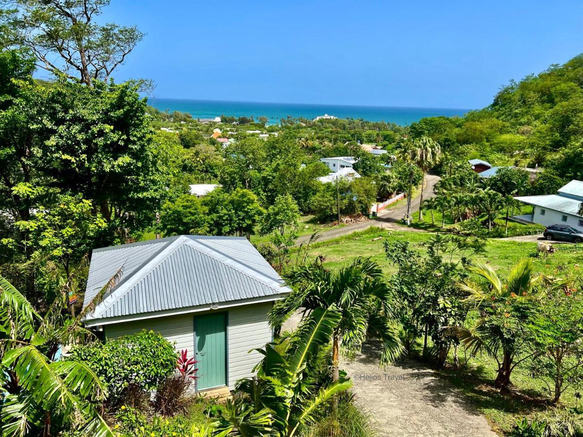 Le Surf Lodge, Chambre Avec Vue Mer Dans Un Ecrin De Verdure Deshaies Bagian luar foto