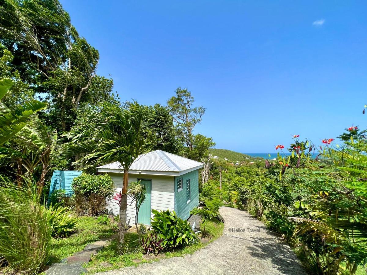 Le Surf Lodge, Chambre Avec Vue Mer Dans Un Ecrin De Verdure Deshaies Bagian luar foto