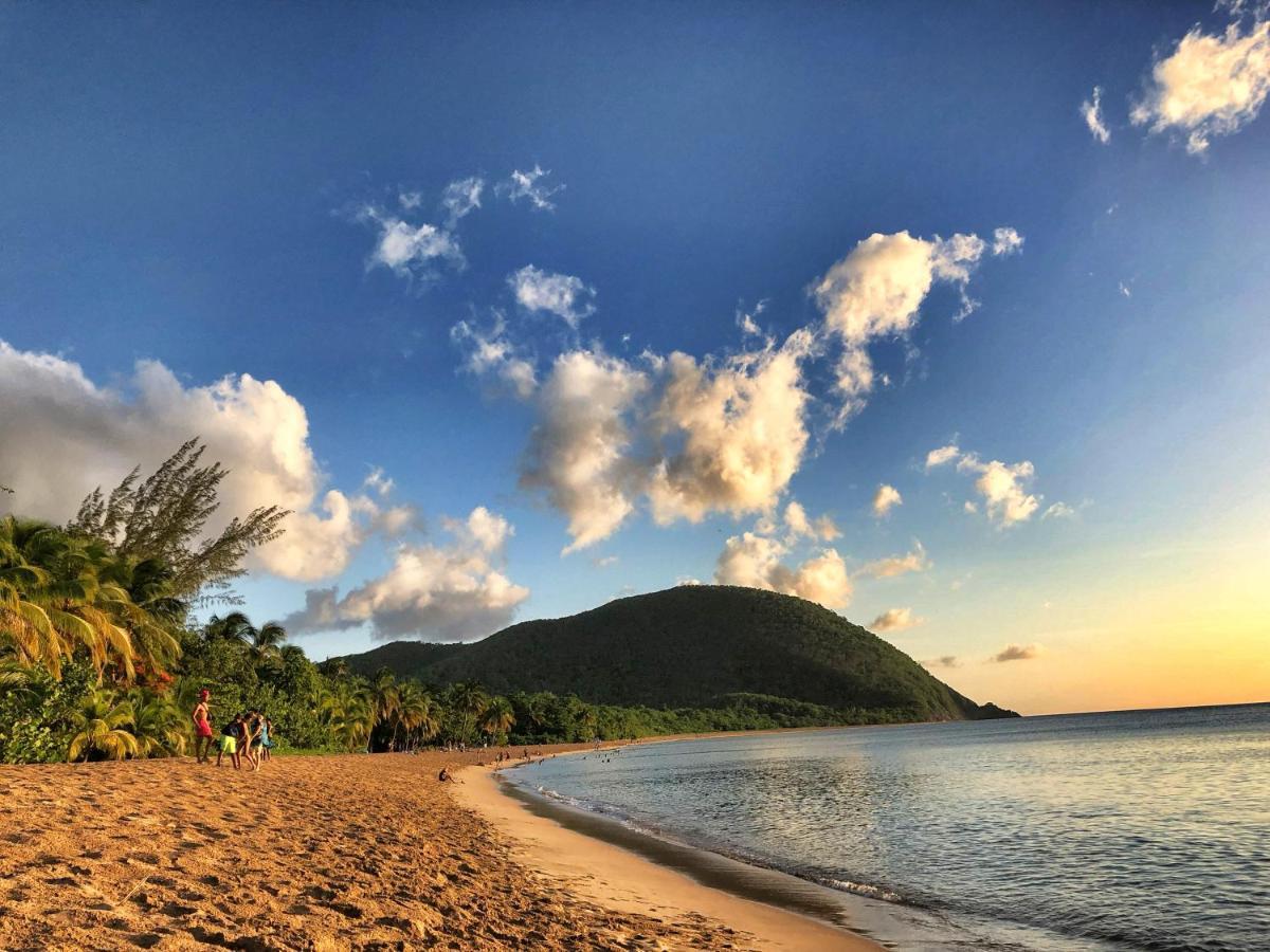 Le Surf Lodge, Chambre Avec Vue Mer Dans Un Ecrin De Verdure Deshaies Bagian luar foto