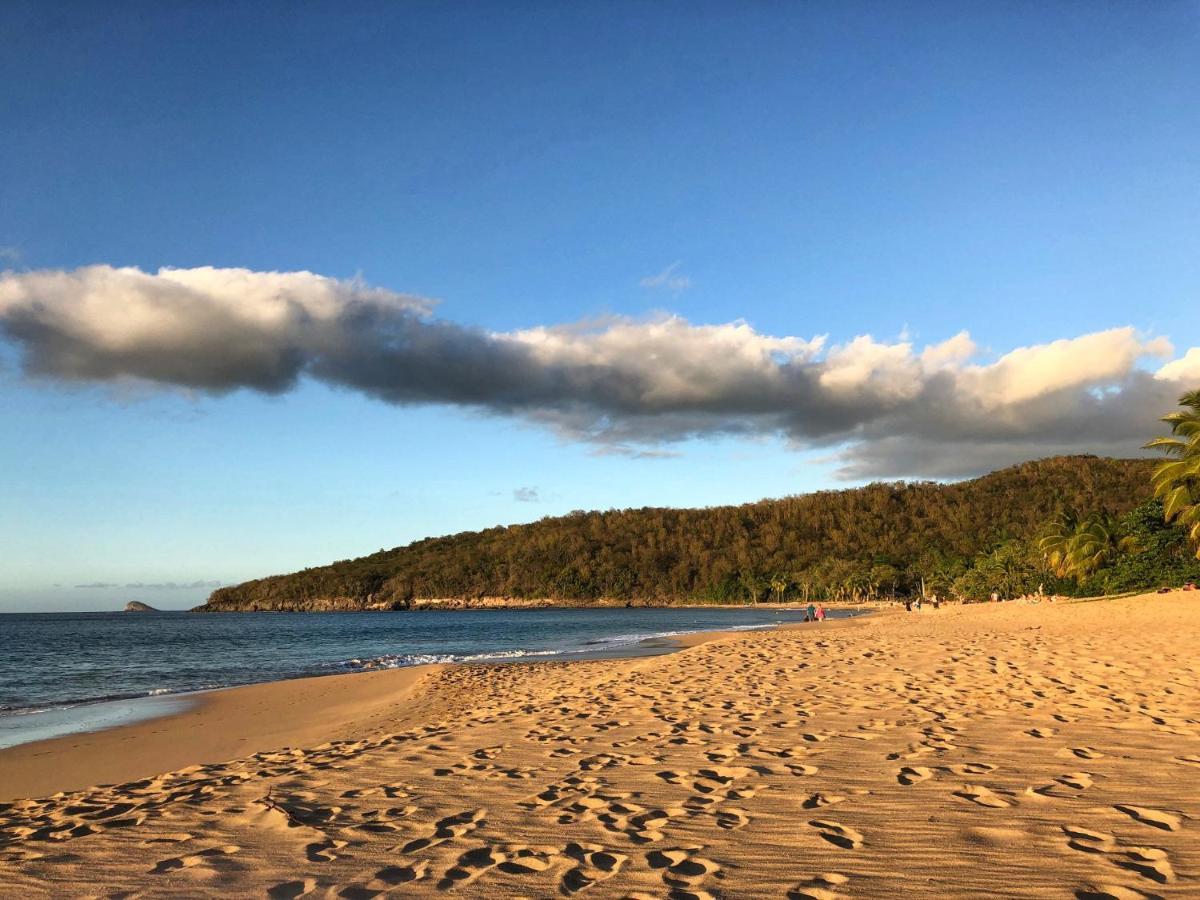 Le Surf Lodge, Chambre Avec Vue Mer Dans Un Ecrin De Verdure Deshaies Bagian luar foto