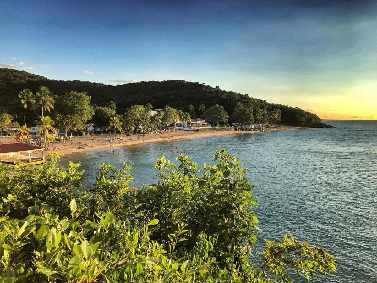 Le Surf Lodge, Chambre Avec Vue Mer Dans Un Ecrin De Verdure Deshaies Bagian luar foto