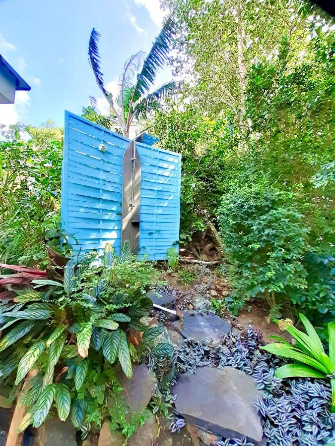 Le Surf Lodge, Chambre Avec Vue Mer Dans Un Ecrin De Verdure Deshaies Bagian luar foto